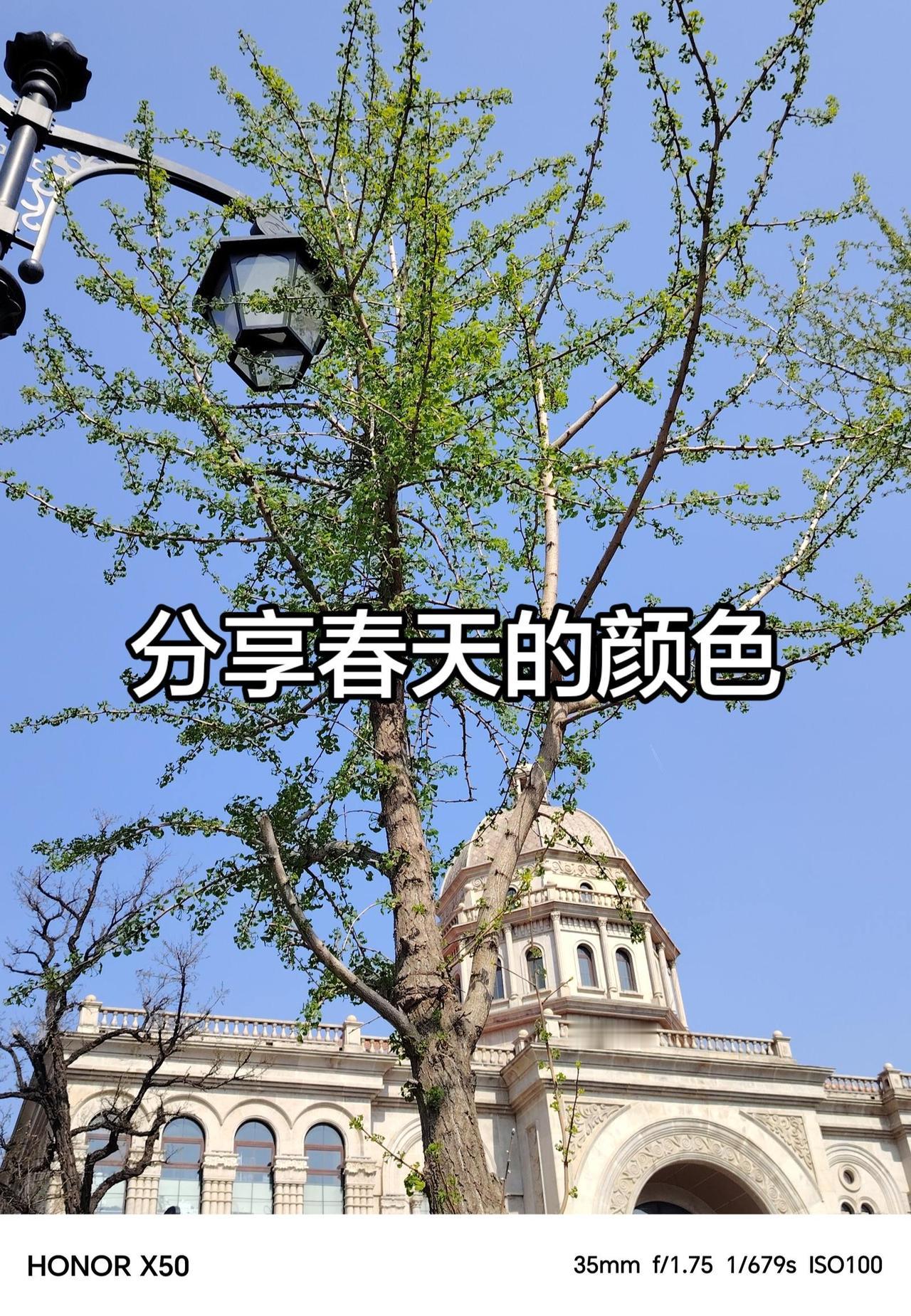 我评论了@11jdjdhdsjsjjs 的作品：
春天里的颜色好看。不仅花美万物