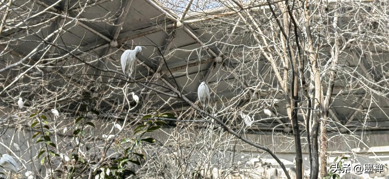 夫妻之间，最怕的不是穷，是“冷”。

都说贫贱夫妻百事哀，可你去看看，那些真正过