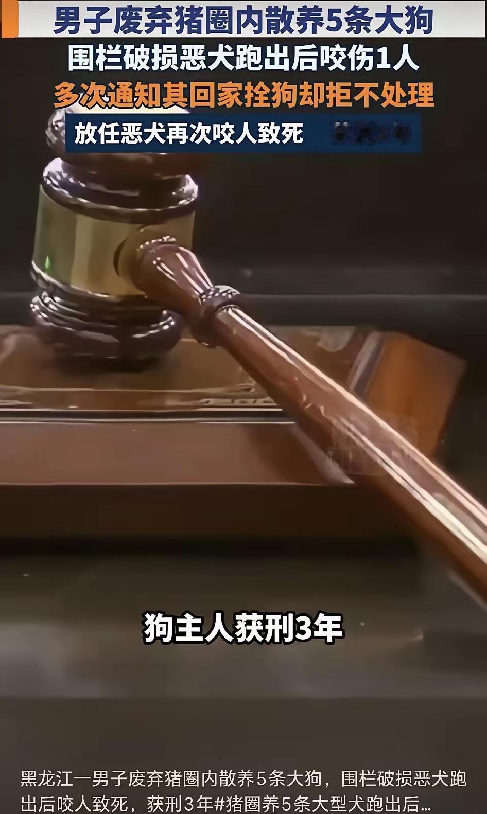令人痛心！黑龙江，一名男子被狗咬后报警，民警两次通知狗主人马某回家处置，他愣是没