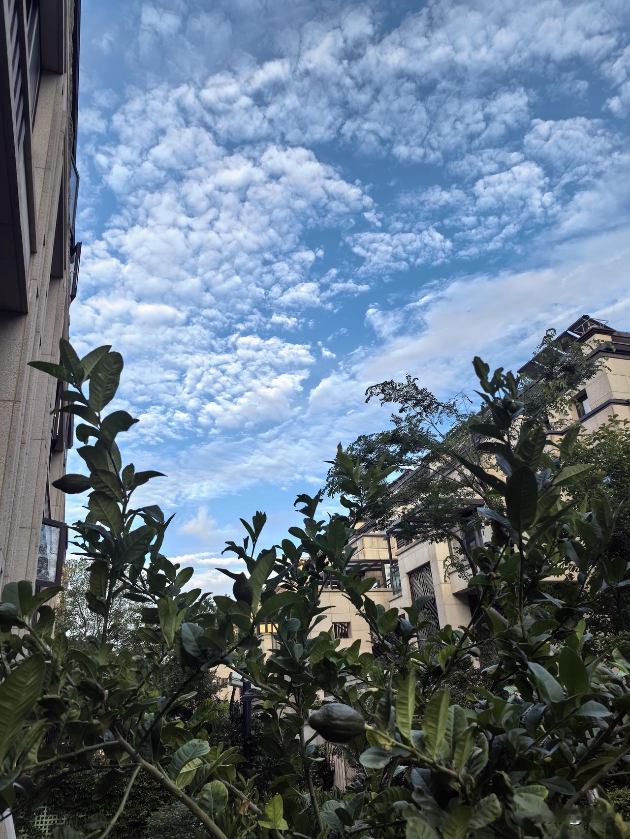 你相信这是在上海吗？相信上海的天空有这么蓝、云有这么白吗？

心烦的时候就从屋里