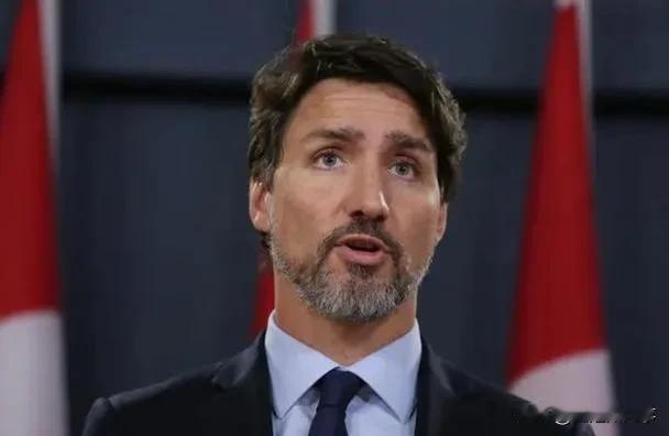 我方这回太硬气了！加拿大不顾我方反对，执意采取某些措施。对此，我方做出了回应，决