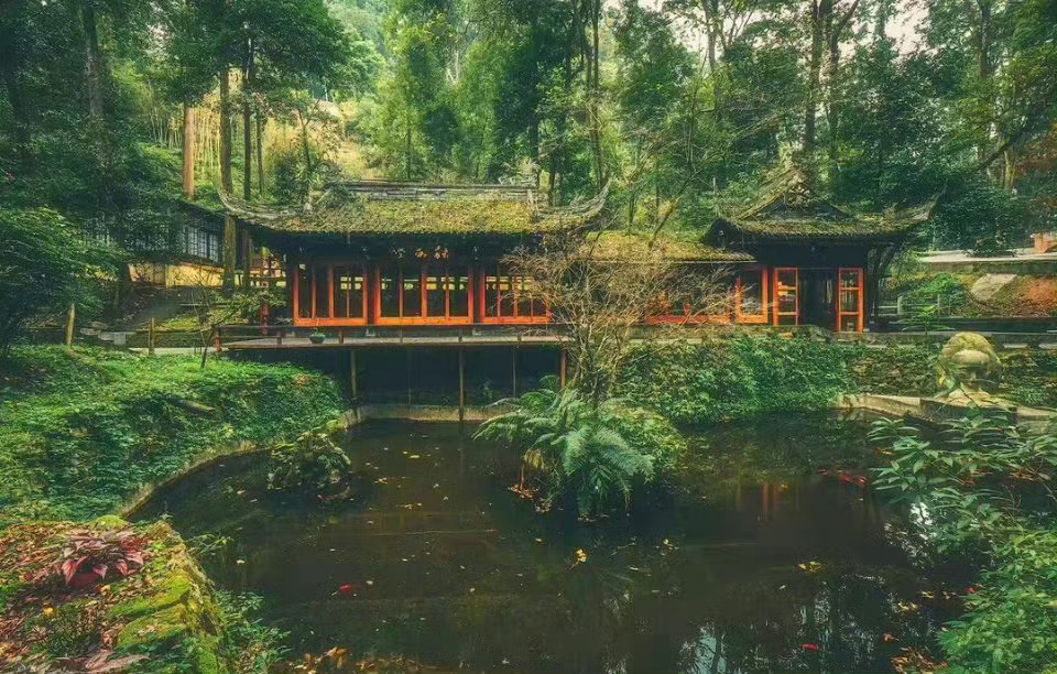 “  数里无人到，山黄始觉秋。小楼一觉睡，忘却百年忧 …  ” 