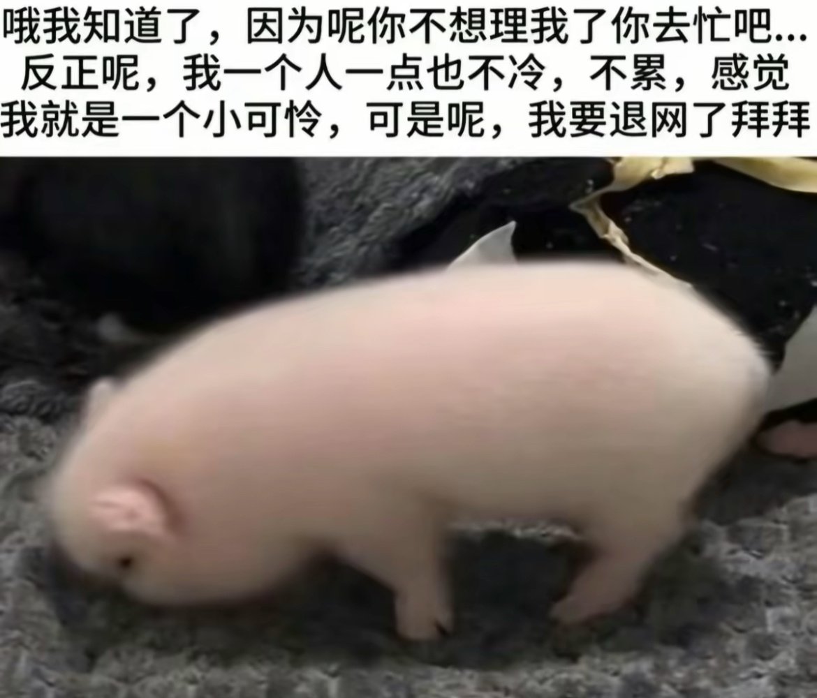 分享图片 