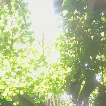 每日一善每日一善阳光信用熊猫守护者0000只把一件事做好，就是生活本初的节奏，再