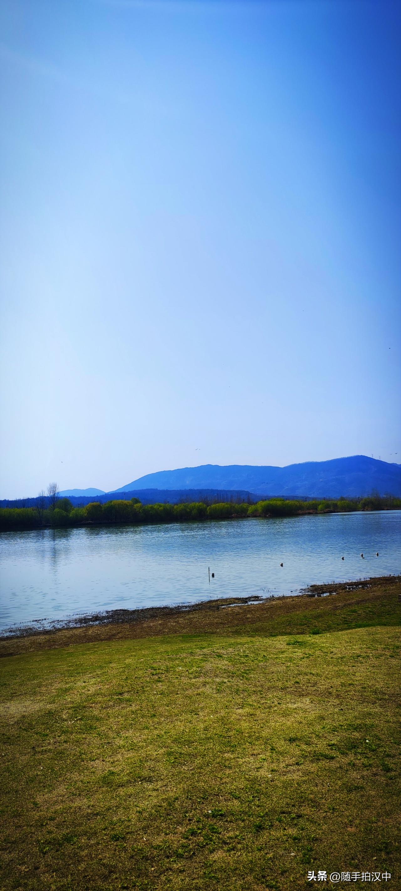 天南地北大拜年几日工夫，汉江两岸已经绿了。遇着晴天，对岸的柳树已经新芽飘飘，脚下