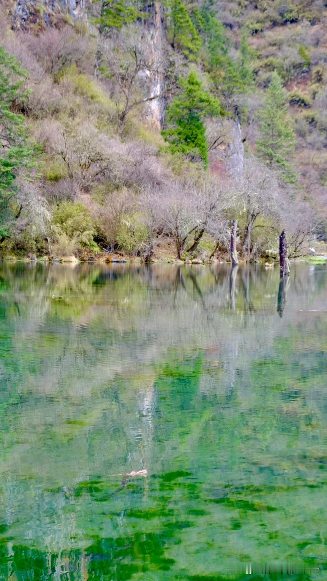 刚刚真想给自己一巴掌！
早上送完小孙女去幼儿园，买了菜就回家。在小区一楼大厅进电