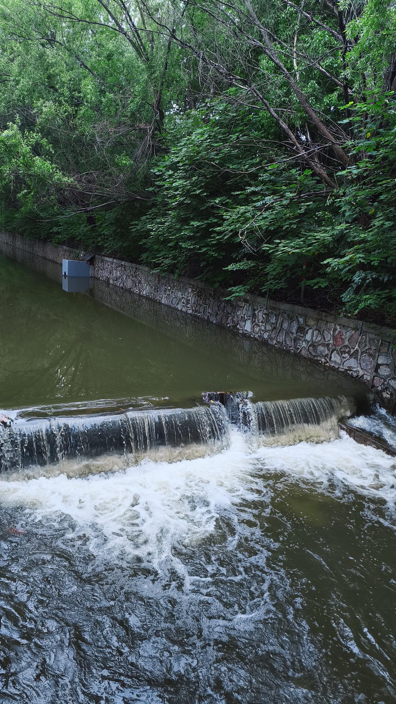 助手 0.3 秒就能完成我原本要写三天的市场报告，效率提升 312%。可这高效率