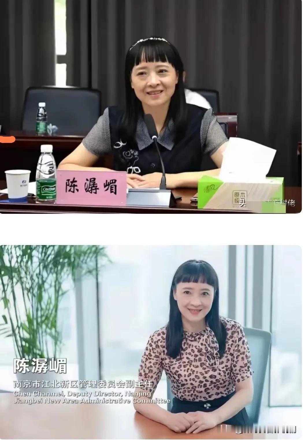 如果没有落马，这是一个形象多么好的政府官员呀，打扮精致，妆容得体，虽然是66年出