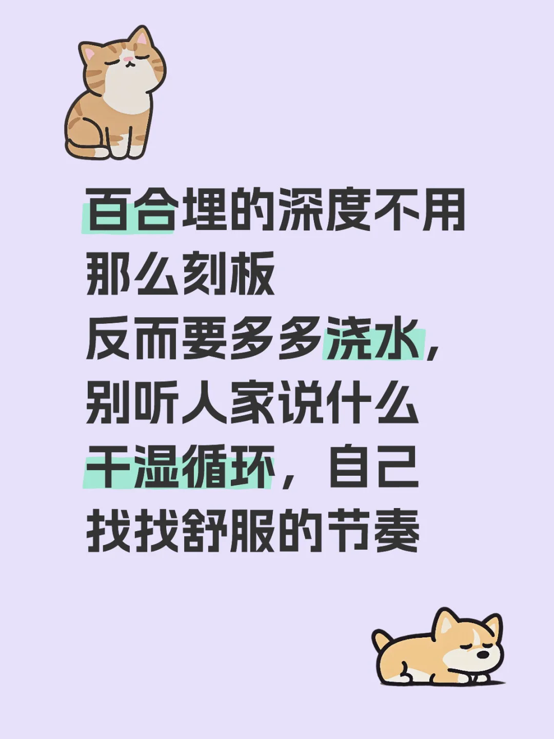 百合花种植的碎碎念分享，都很辩证，仅供参考