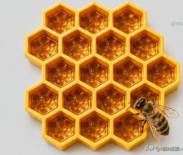 为什么蜜蜂总是建造六边形细胞，而不是方形或三角形？

在所有将平面划分为等面积区