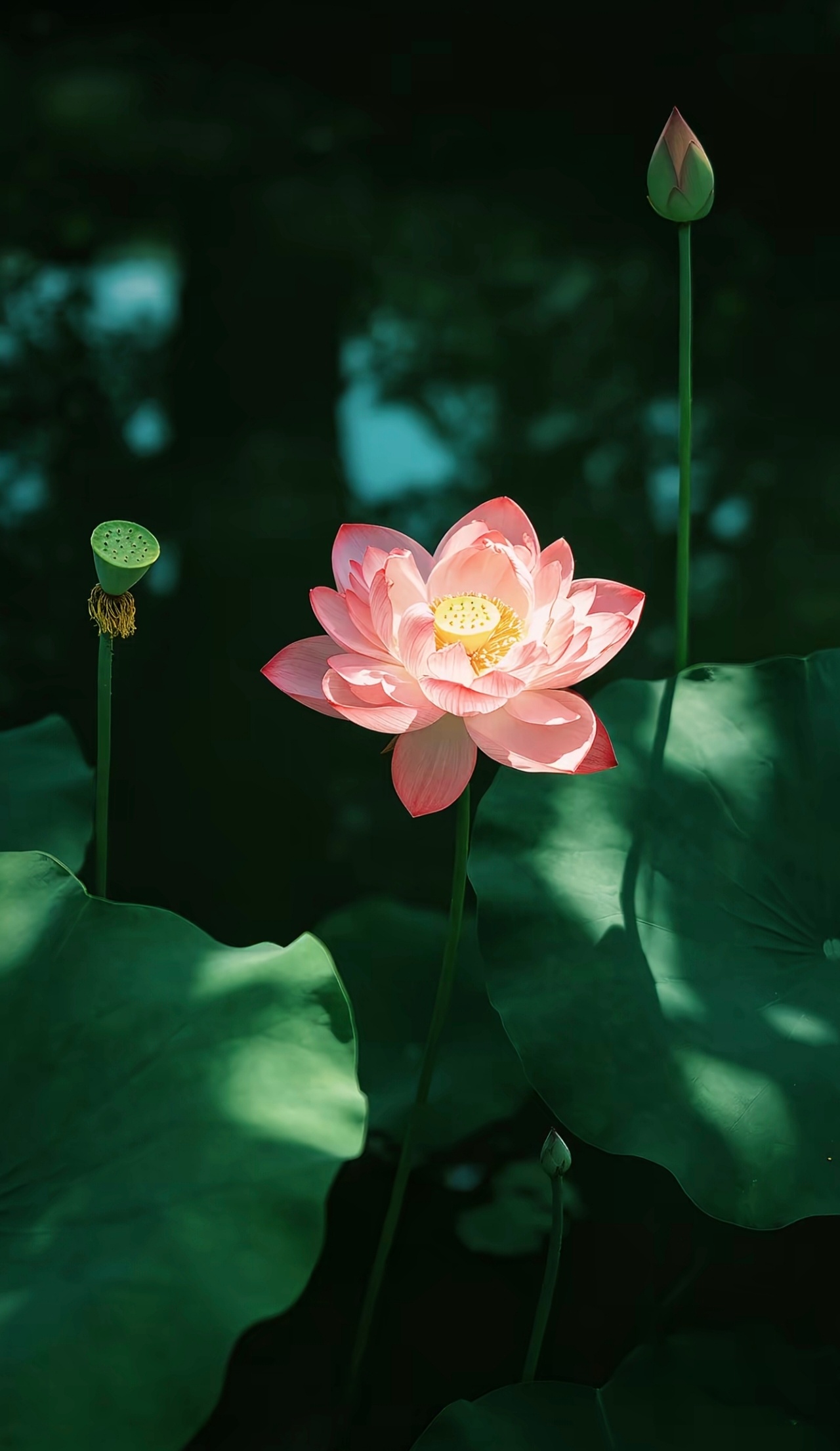日行一善日行一善 世界的美好，源于无数人的善良汇聚。愿我们都能守住心底的那份纯粹