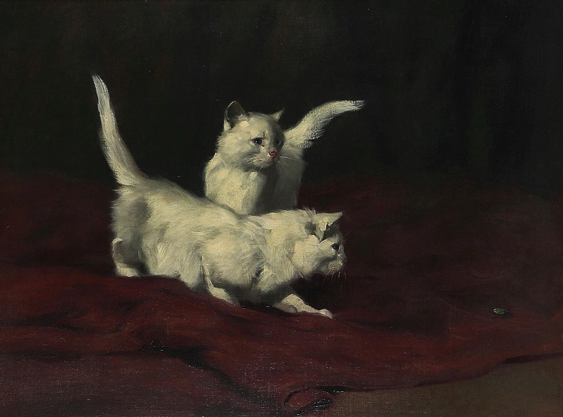 Arthur Heyer的🐈猫～^_^ 