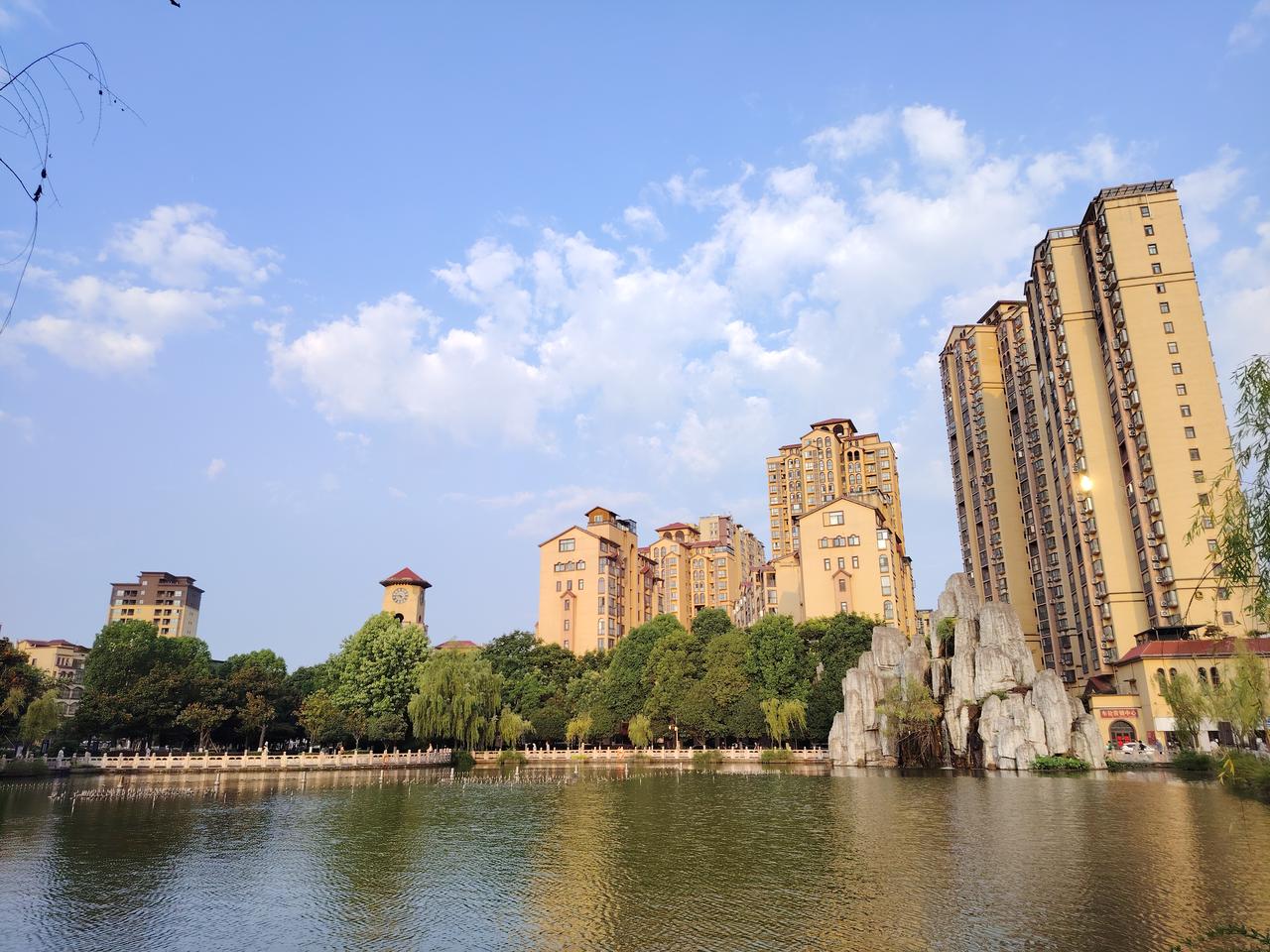 酷热难耐的三伏天，清晨七点的公园里凉风习习。