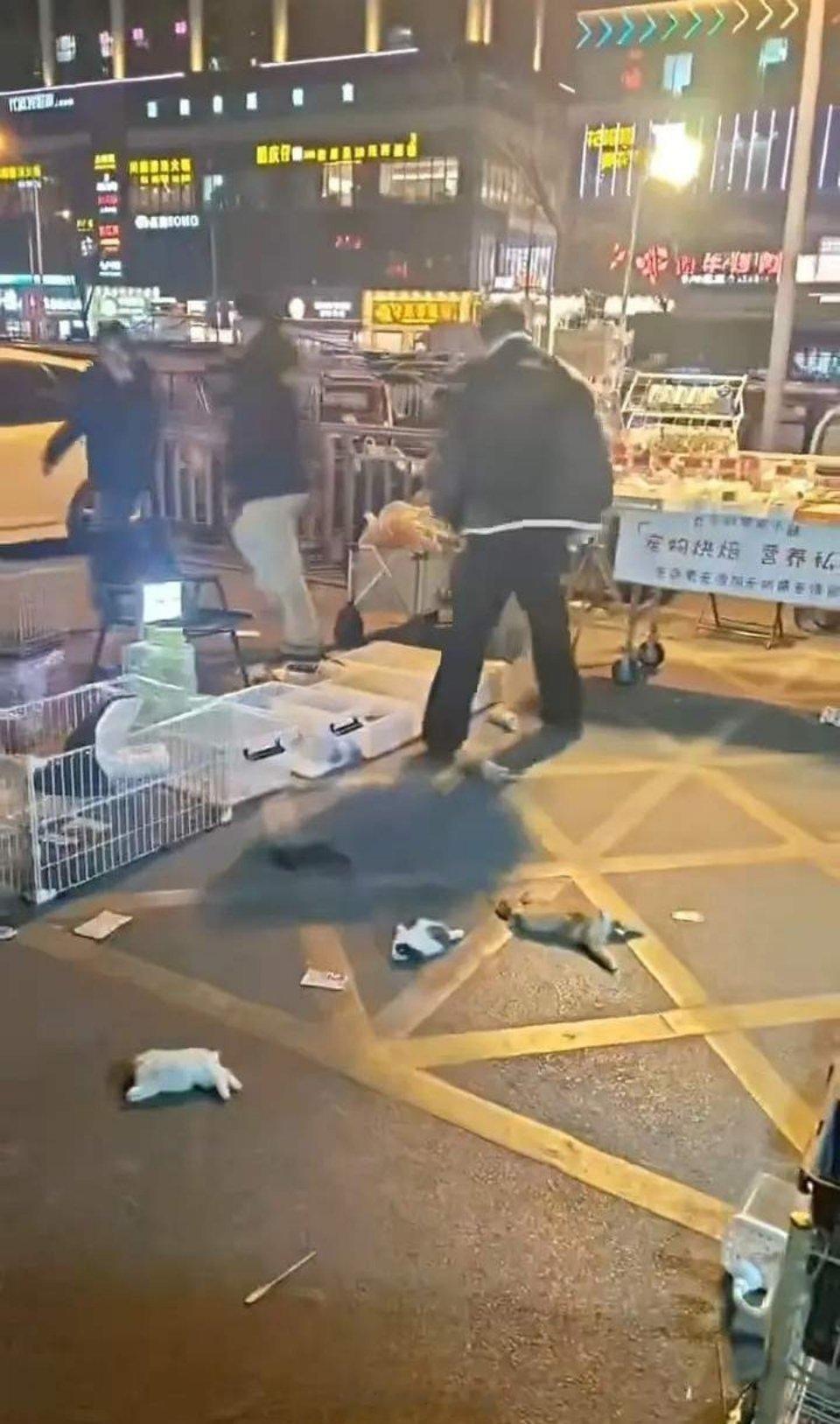 当街摔死多只兔子摊贩被行拘5天有句生意经“顺境不飘，逆境不怨”，讲的就是这个道理