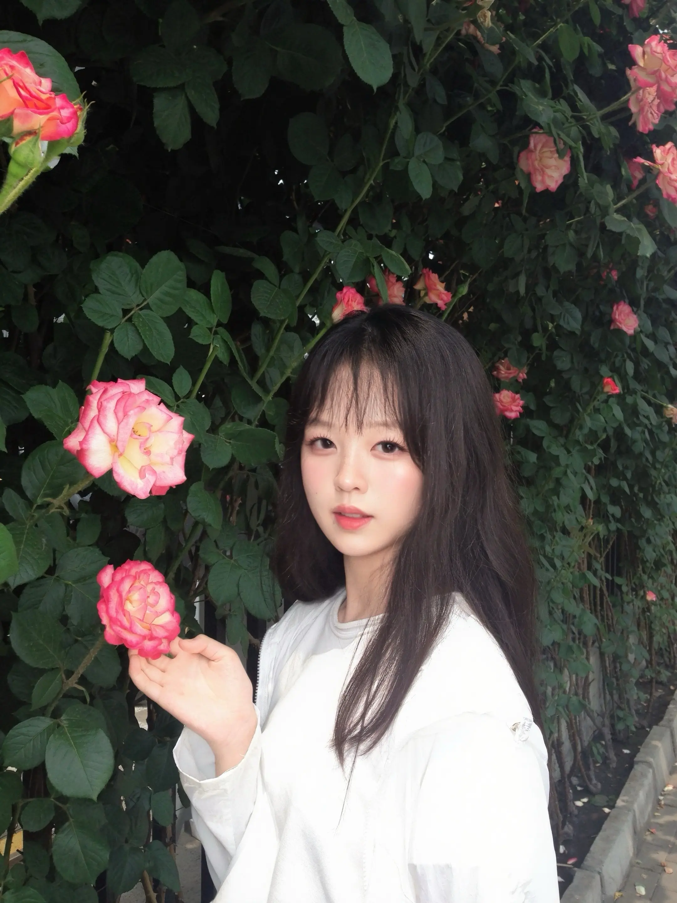 你对我的了解 无声的告别 难过是有些🌺。