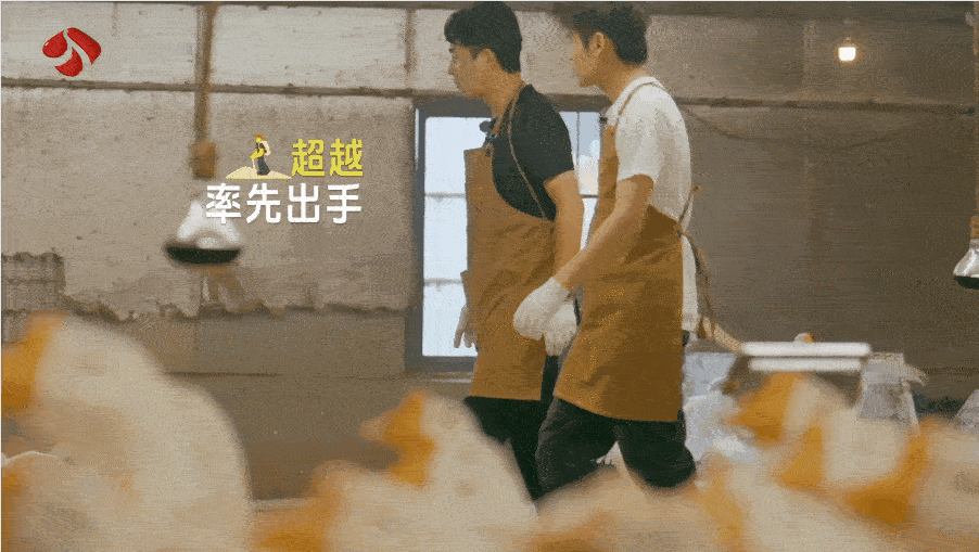 才看到杨超越抓大鹅这段，在抓鹅这方面超越妹妹天赋点满了