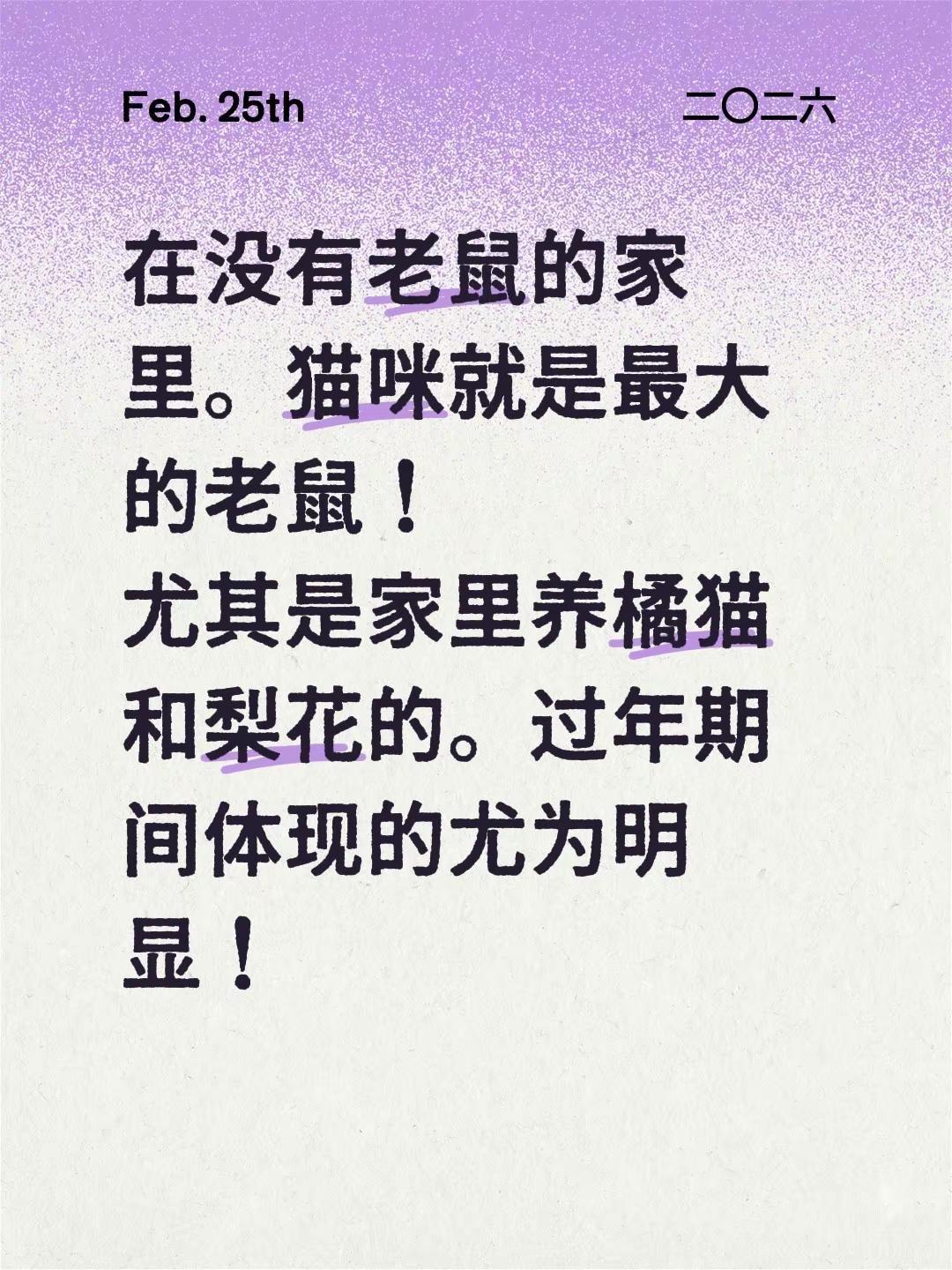 在没有老鼠的家里。猫咪就是最大的老鼠！尤其是家里养橘猫和梨花的。过年期间体现的尤