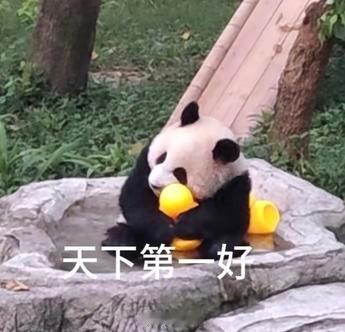 聊天必备表情包第473弹黑白小圆子（拿图吱声） ​​​