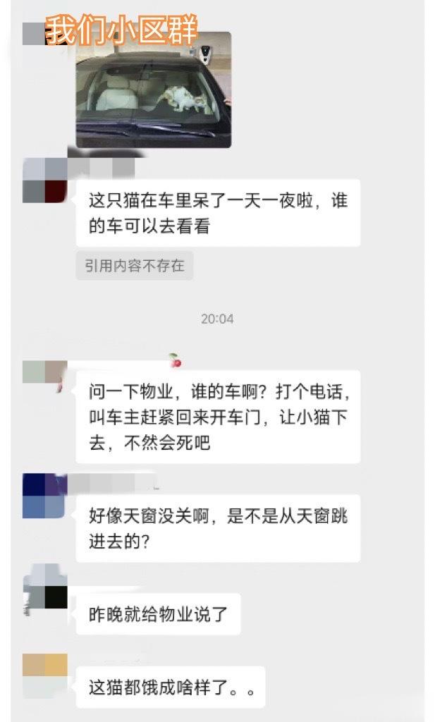 我讲个事哦……大家引我为戒……前天晚上，我送猫去医院绝育，刚回来，就收到老铁的微