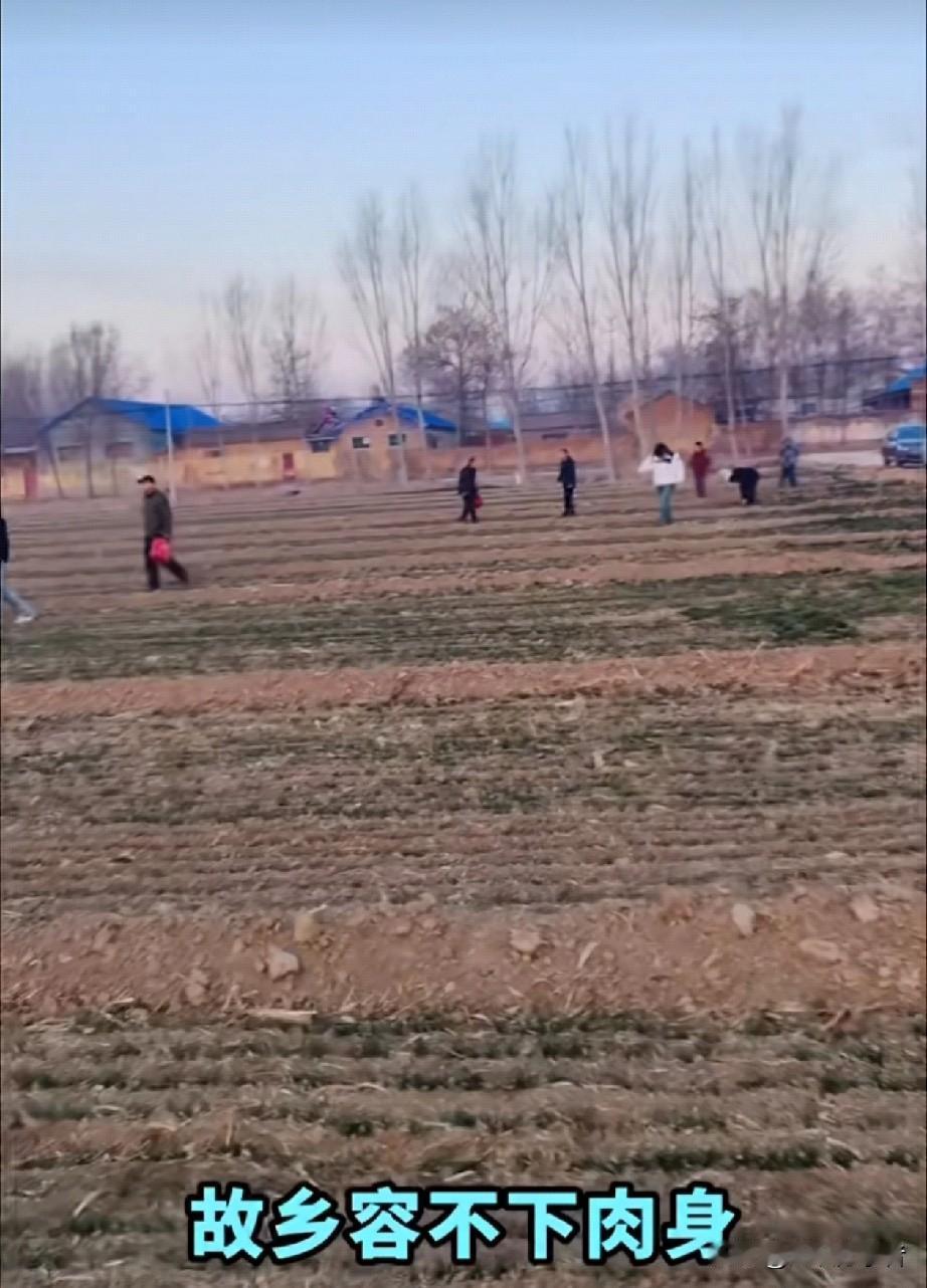 为啥男人总惦记回老家？
因为故土之下，埋着代代先祖；故土之上，藏着满心童年。
 