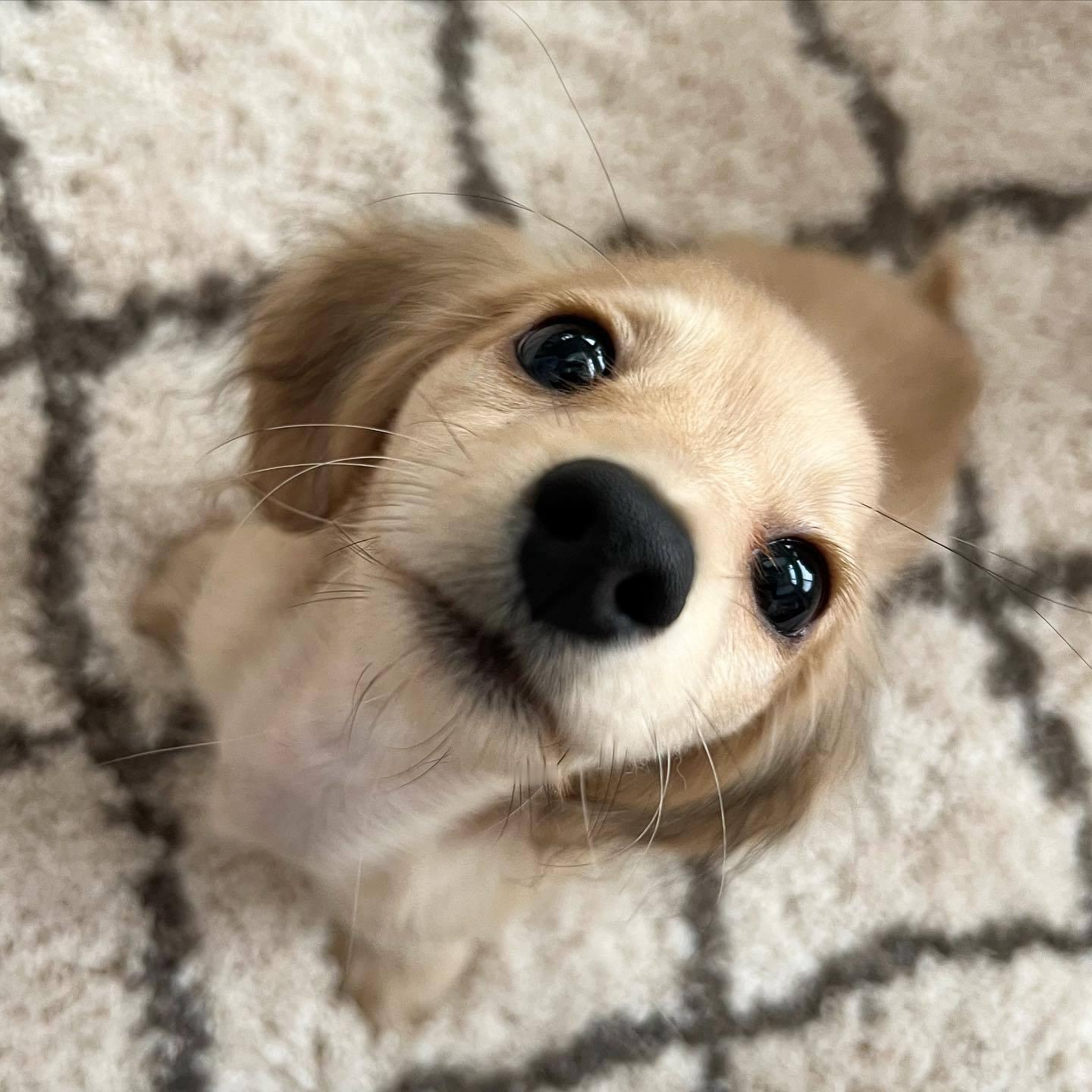 刚刚是你在叫我小可爱吗？ 