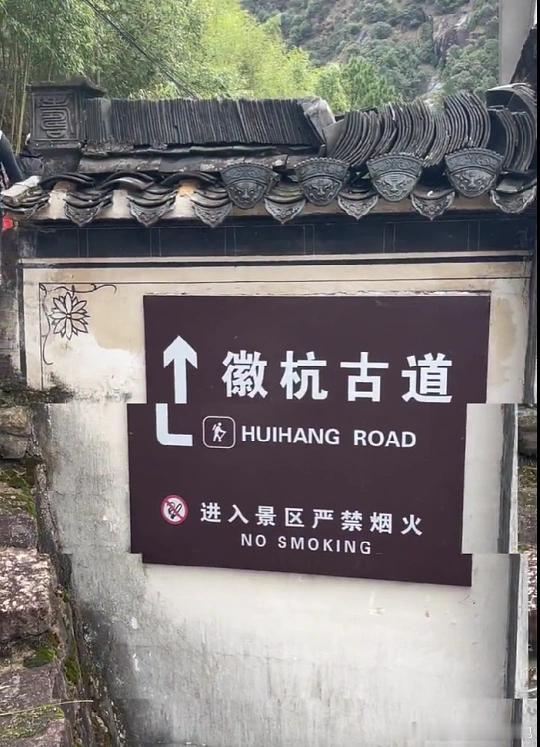 三伏天徒步避暑好去处锁定徽杭古道！整条古道被茂密山林层层包裹，绿荫遮天隔绝燥热，