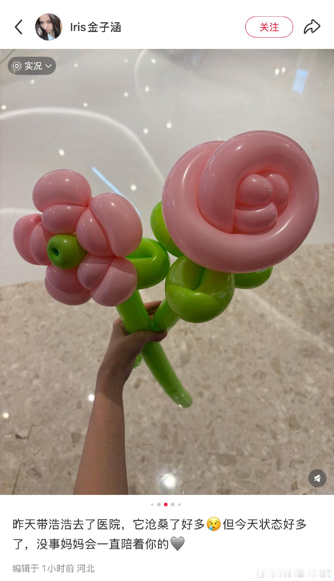 金子涵手腕好多疤痕金子涵手腕有疤痕，现在退圈应该轻松点了吧！ 金子涵手腕有疤痕 