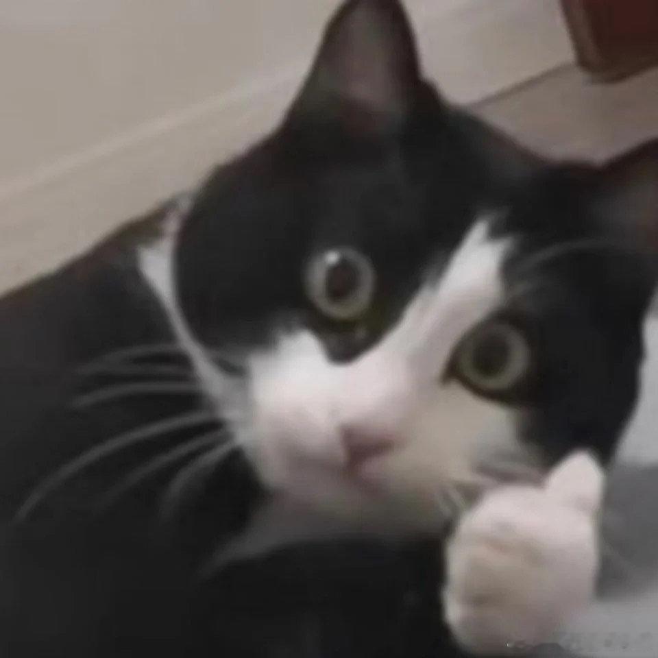 #服装模特改行当陪诊师月入过万#不得不说女孩儿的选择也是非常的优秀，从服装模特改