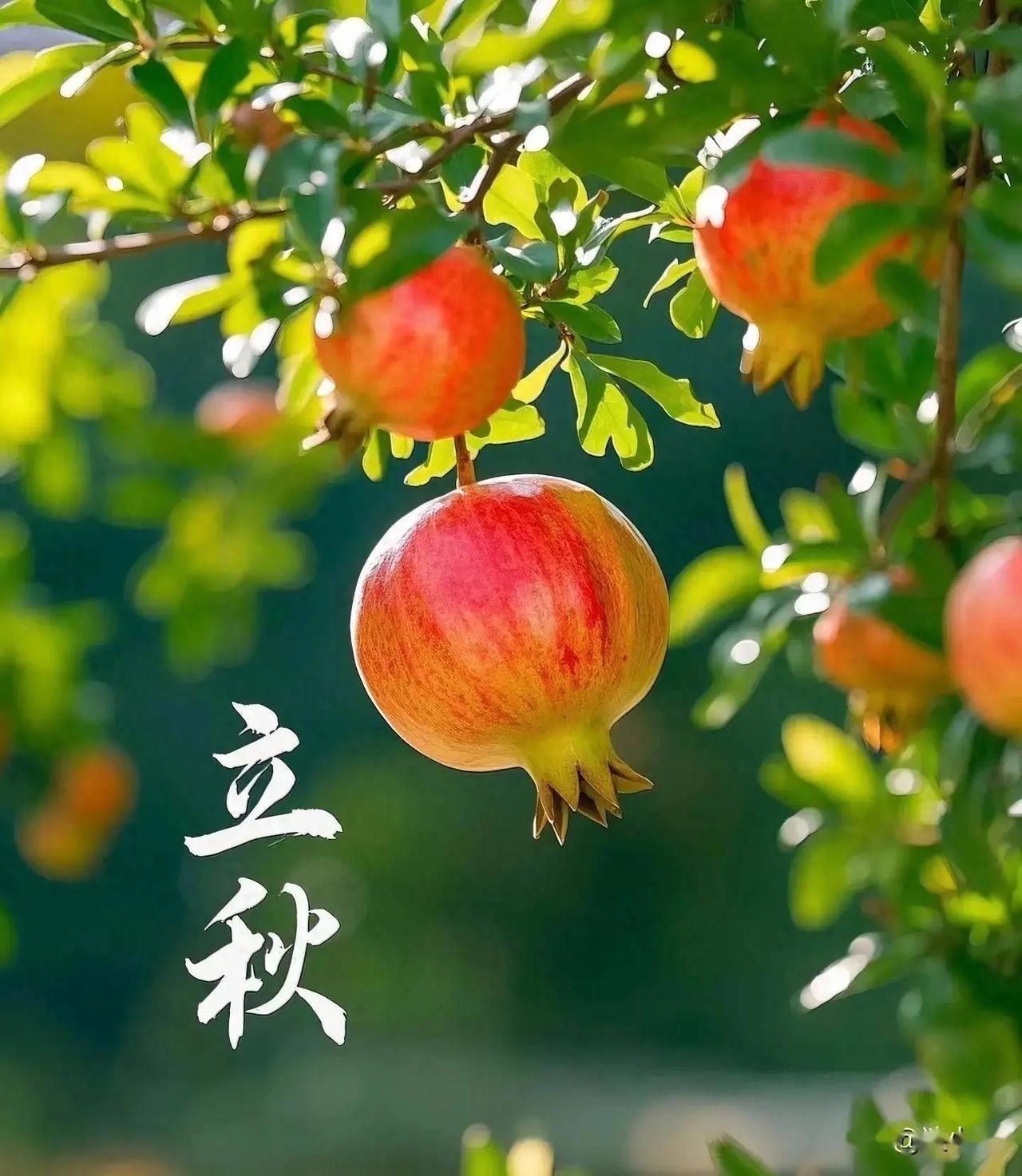 时光流转，过往已远，总有一缕遗憾，萦绕心头；总有一缕温柔，唤醒希望。
这个秋天，
