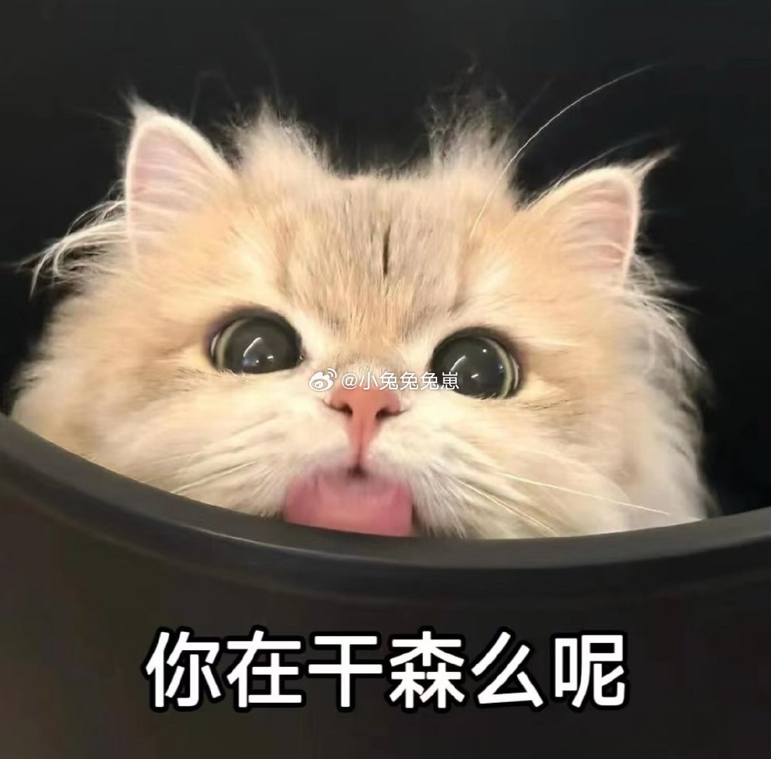 大清早两个人都在床上玩手机，突然🐺把手机扔下就爬到我身上，顺势把我的腿掰开就吻