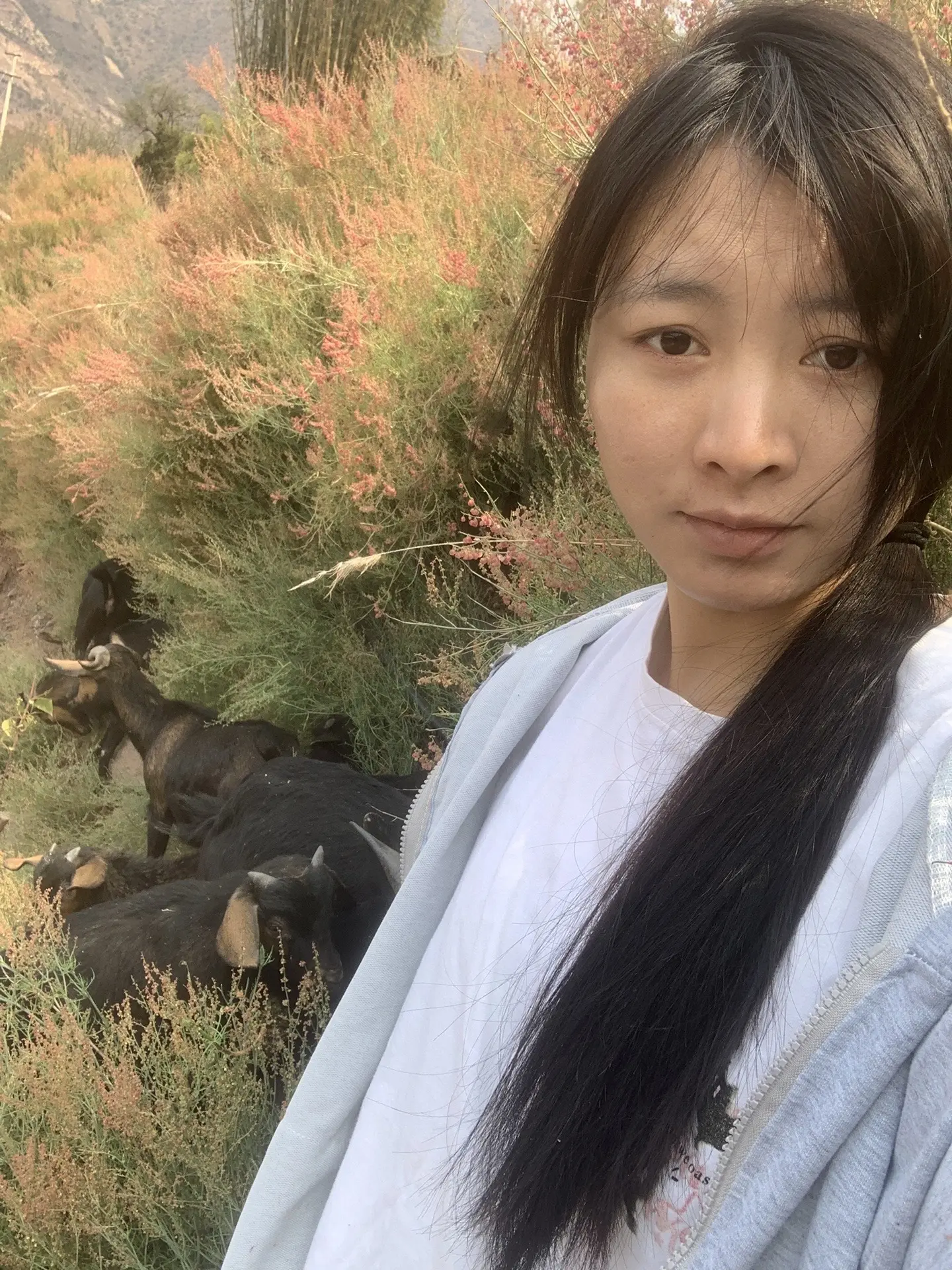 春天来了，万物复苏🤣该到了赏花的季节了