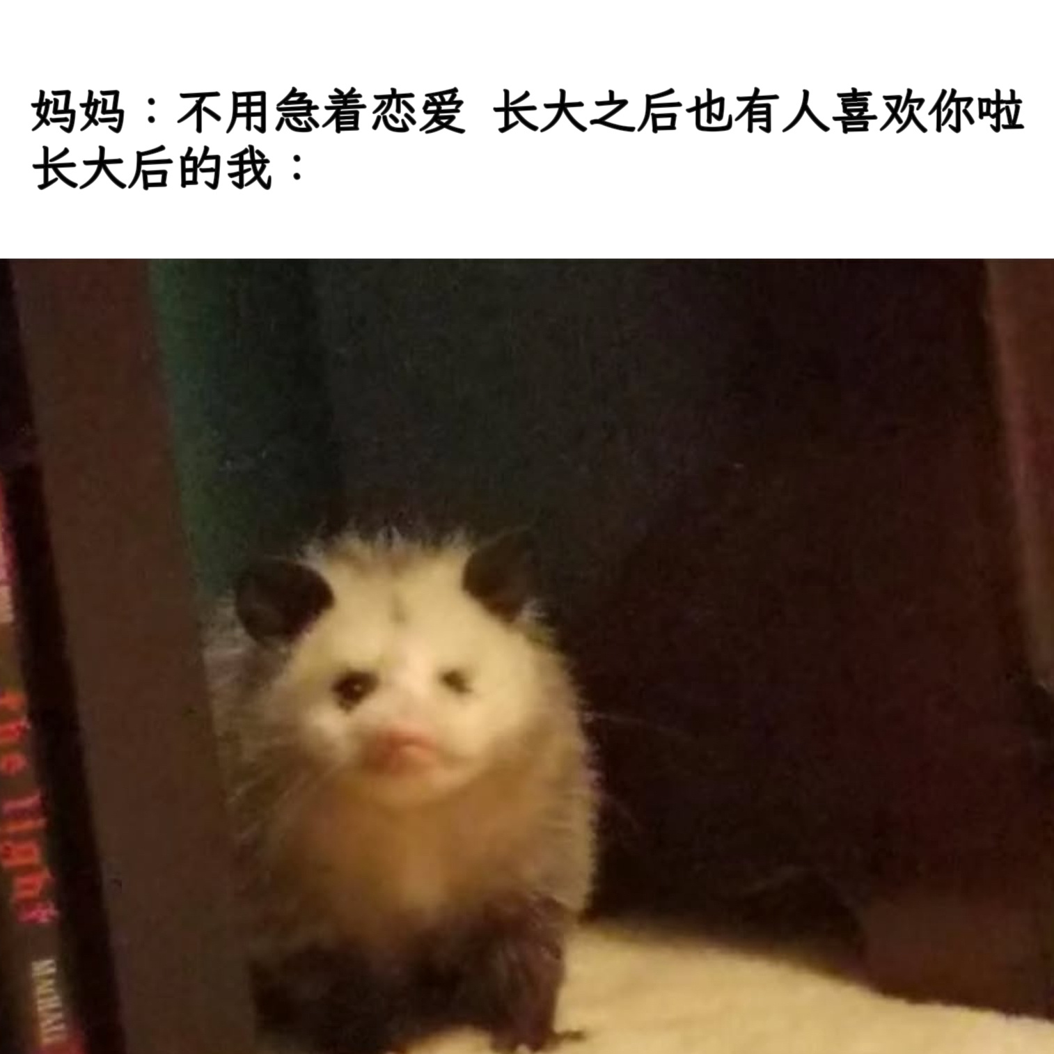 丑萌memes