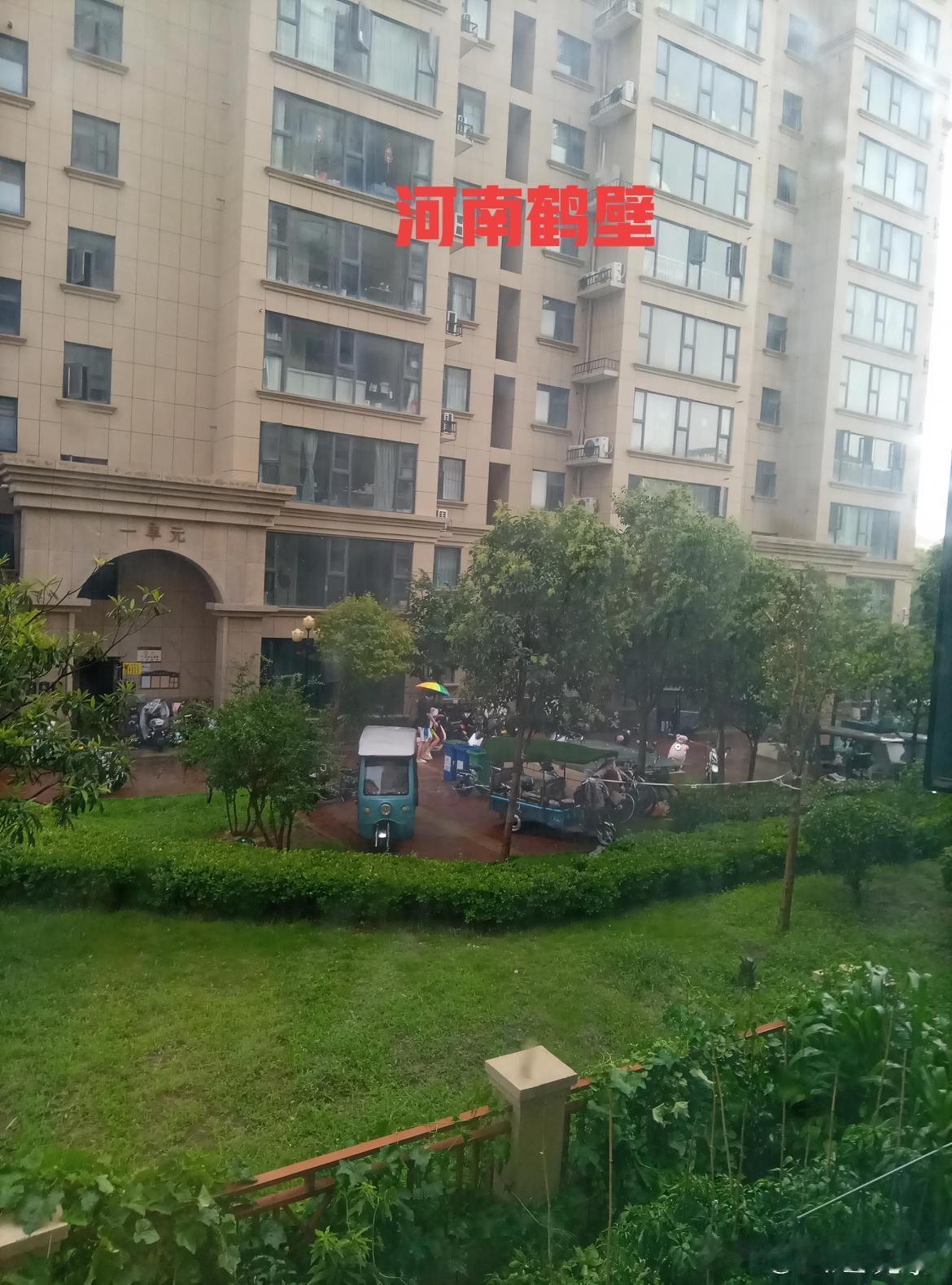 暑伏天，洼不干！鹤壁就是这样的天！昨天下，今天又下，明天说不定还下，因为湿热温度