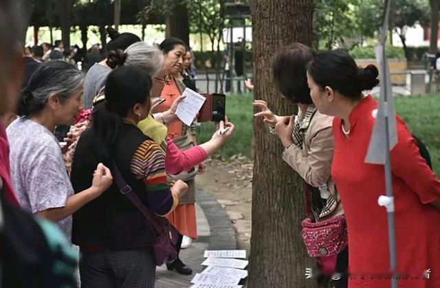 每天早上，无论是在小区，菜市场，马路上，早餐店，超市里，还是公交地铁站，总能看到