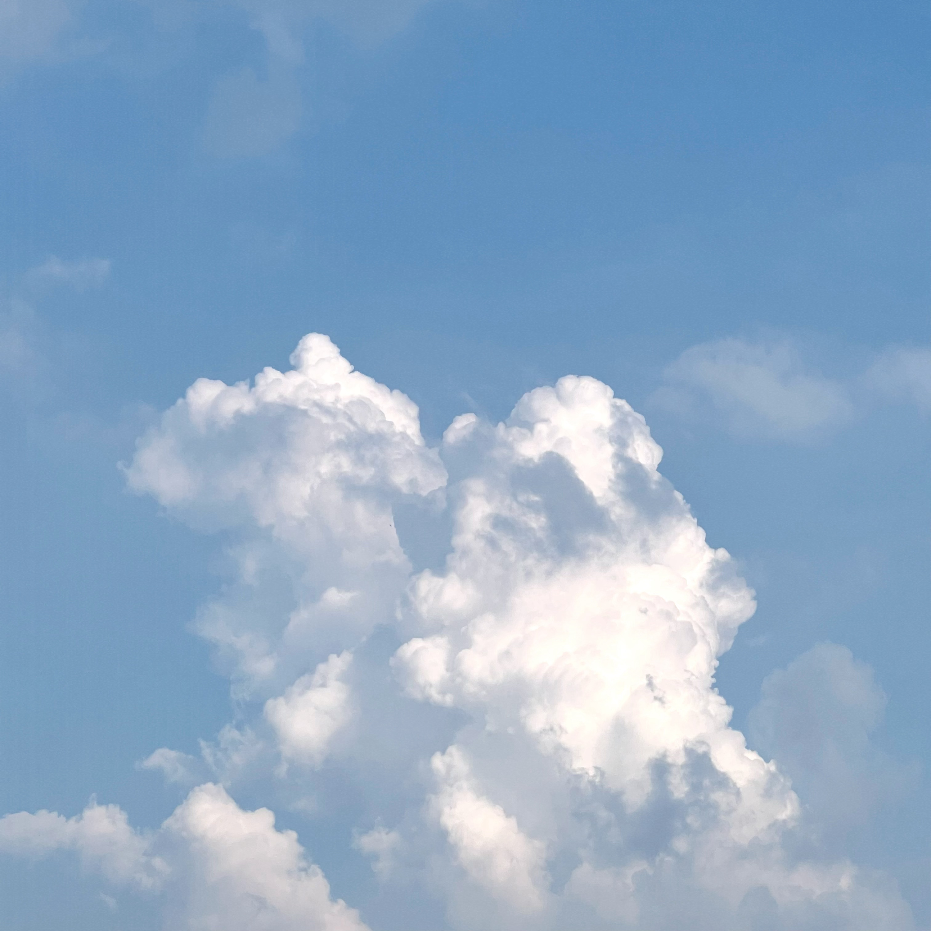 每天一杯美式 喜欢您来！麦麦！[卡皮巴拉][卡皮巴拉][卡皮巴拉] ​​​