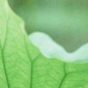 紧握一物，便意味着舍弃更多。得失本就是人生常态，我们总在不断失去，不必执着紧抓。