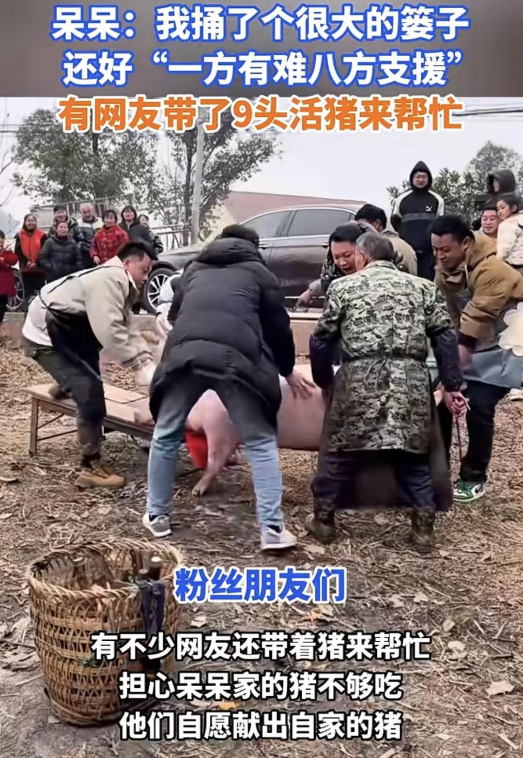 “求助按年猪”女孩呆呆一天涨粉150万，呆呆：我捅了个很大的篓子，还好“一方有难