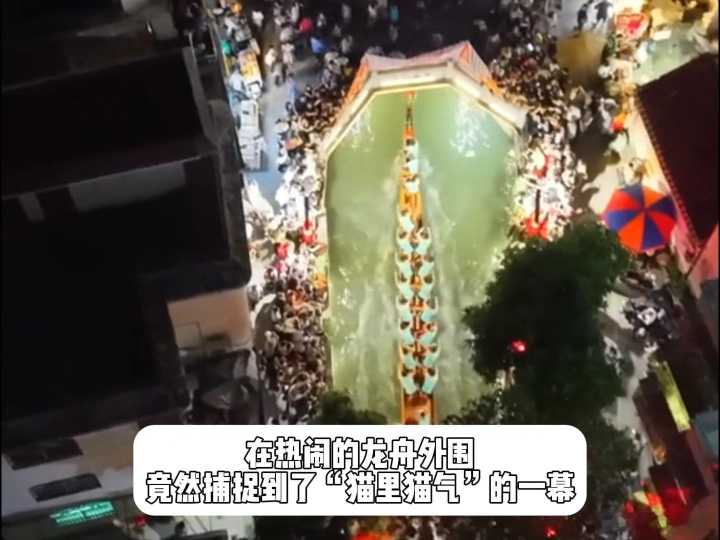 佛山龙舟赛场小猫美美观赛同城热点创作计划佛山龙舟漂移竞速氛围感拉满，软萌小猫人偶