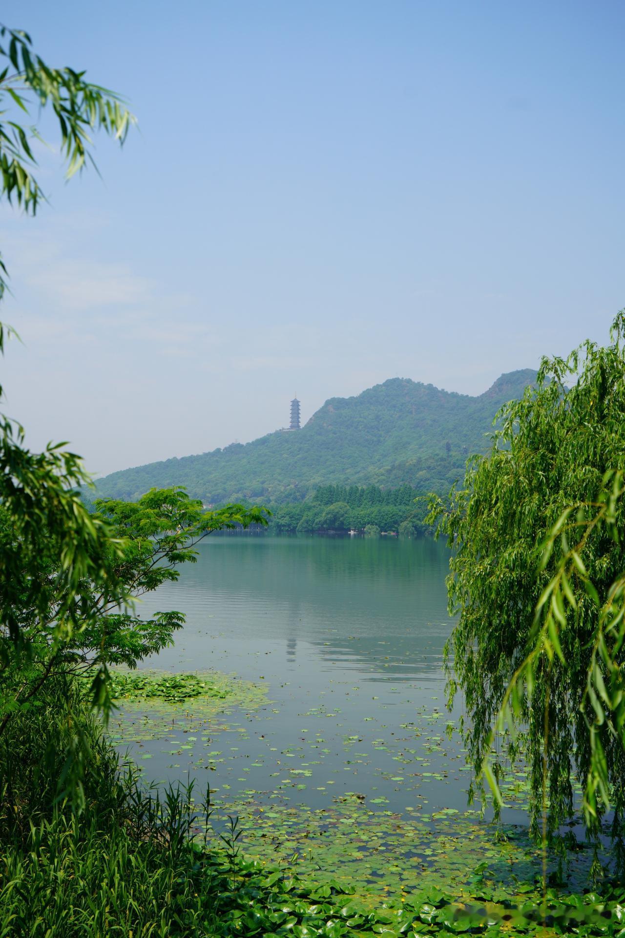 晒晒你镜头的湖光山色这是我拍摄于杭州湘湖的湖光山色，还不错吧。