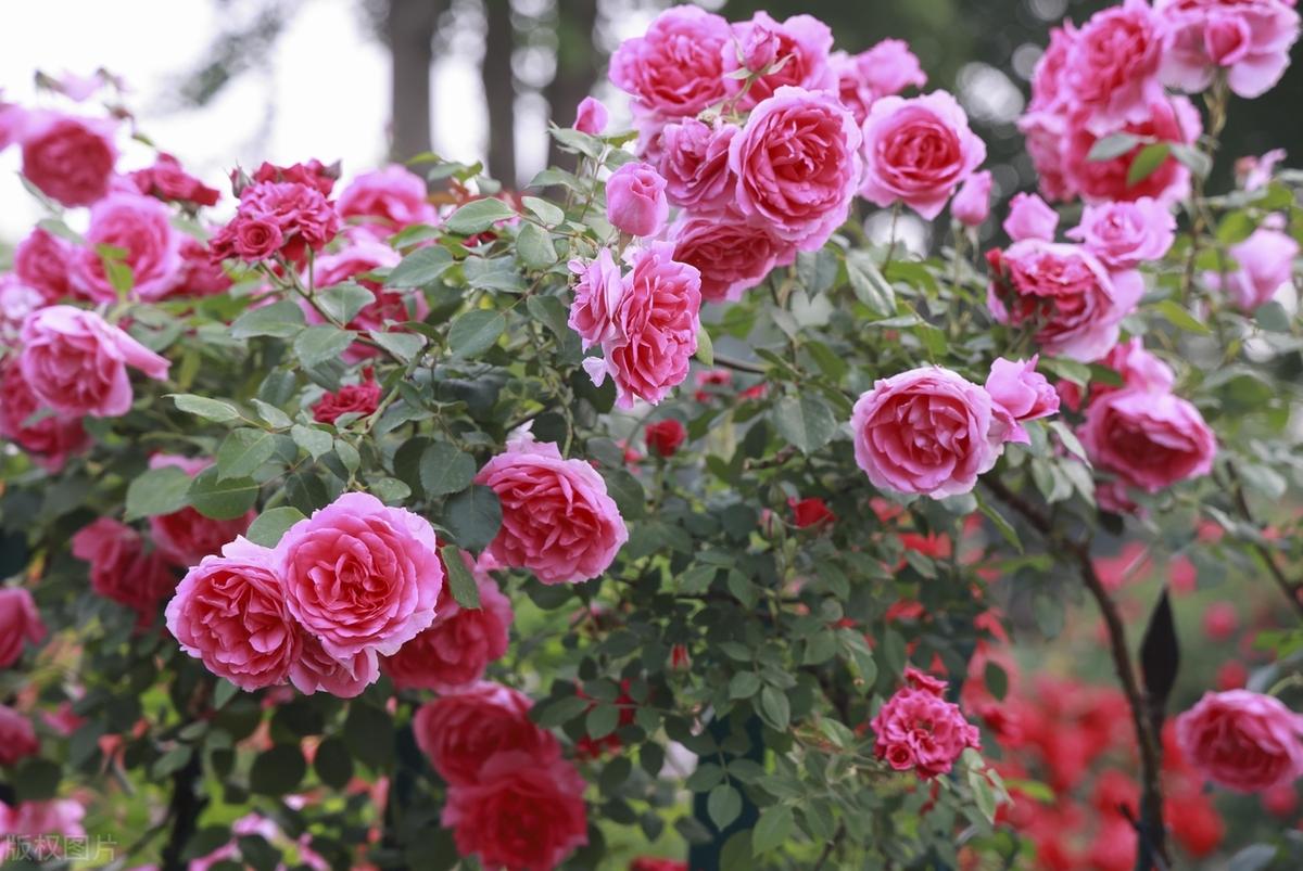 生活，从来不是你想要什么，就给你什么：好的坏的，真的假的，暖的冷的，你都要一一经