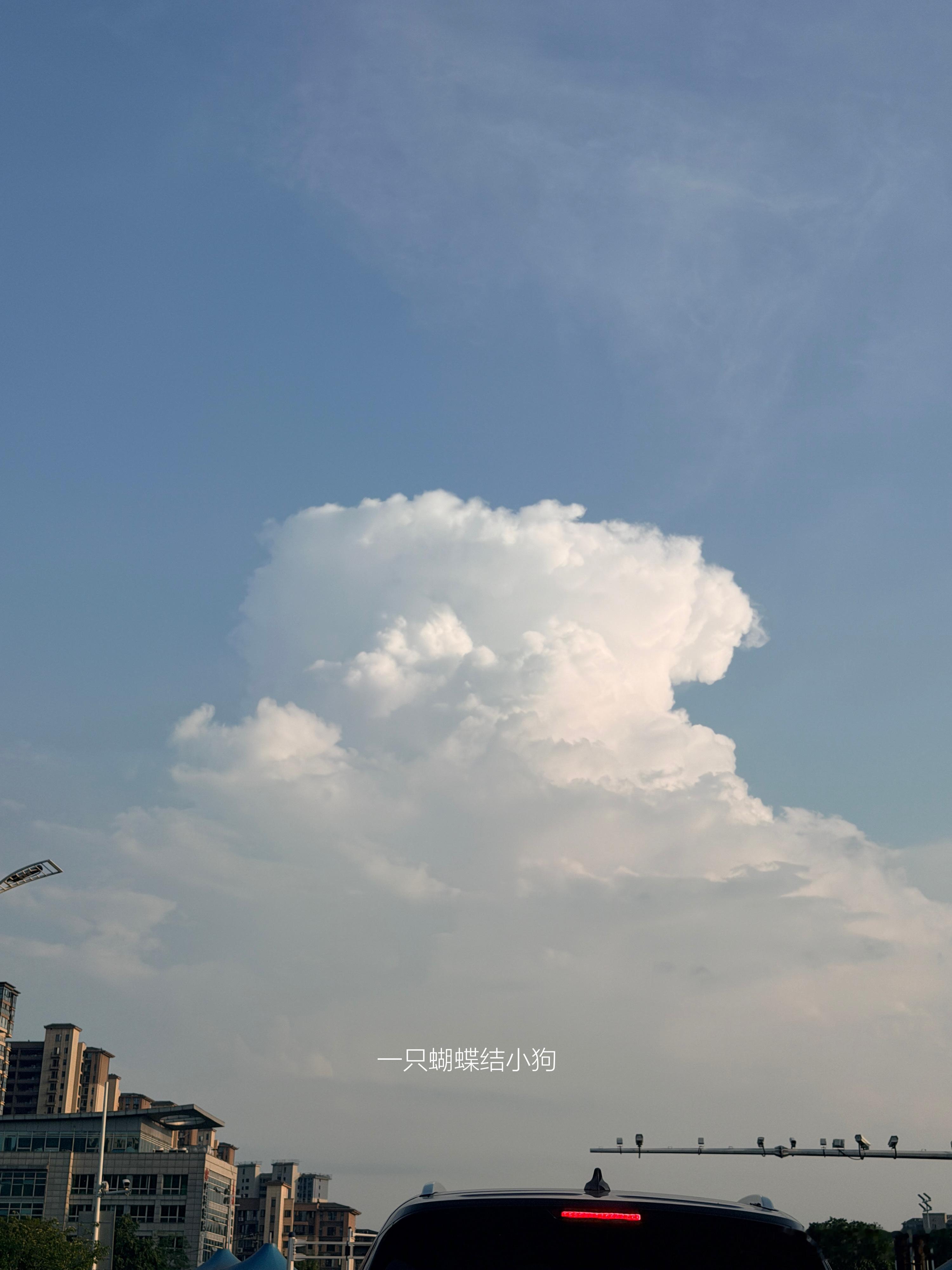 𝐏𝐥𝐨𝐠𝟏𝟐𝟖畅所欲言 日子有晴有雨这个暑假也快要结束了 