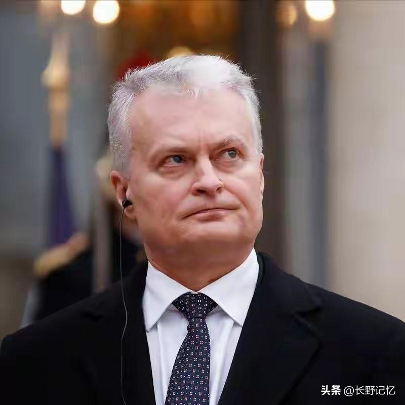 强行给自己加戏！前几天立陶宛总统首席外交政策顾问明确表态，若现在美国提出请求，立