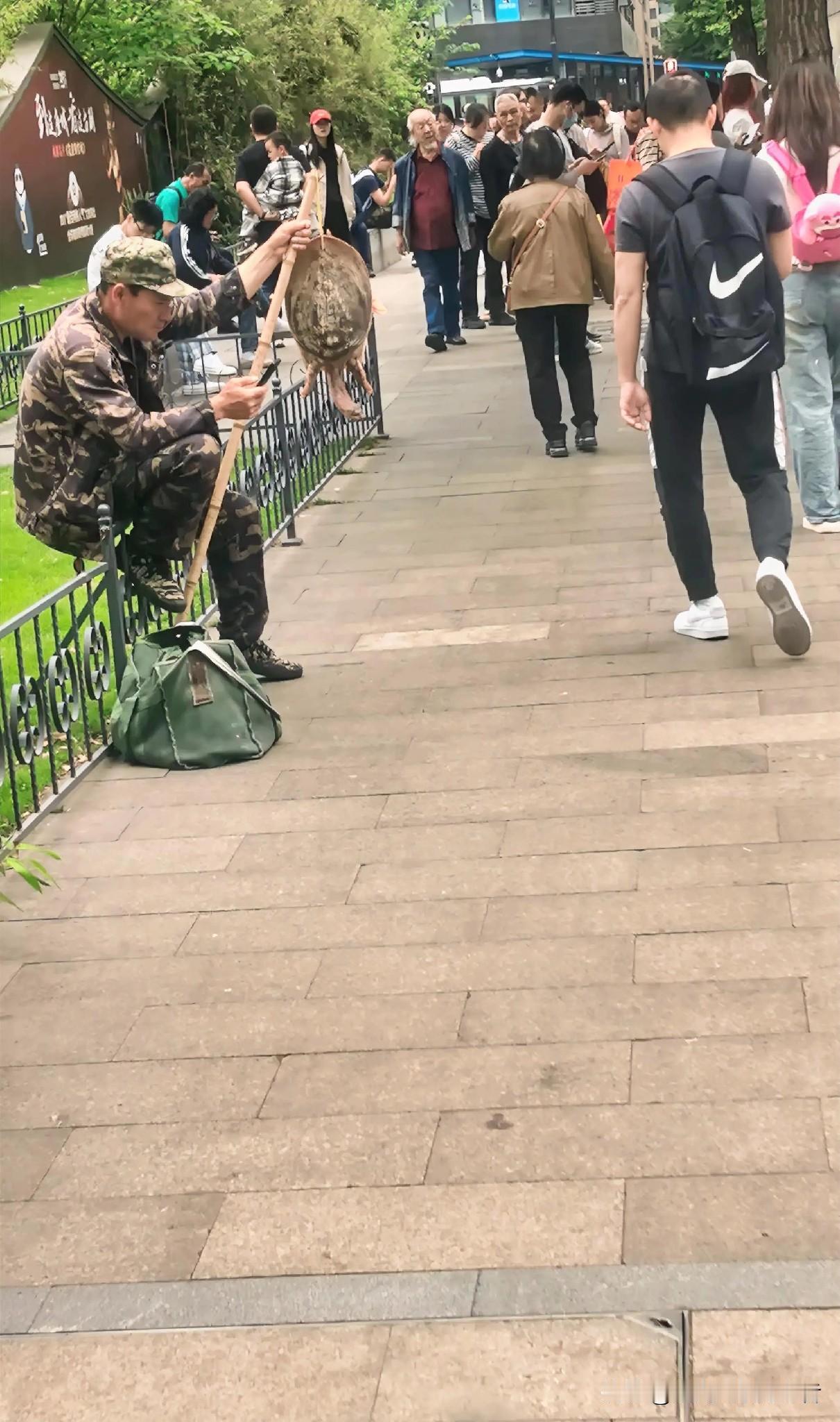 路边用竹竿挂着“野生大水鱼”售卖的，纯粹是大骗局！
这都十几年的老套路了，竟还有