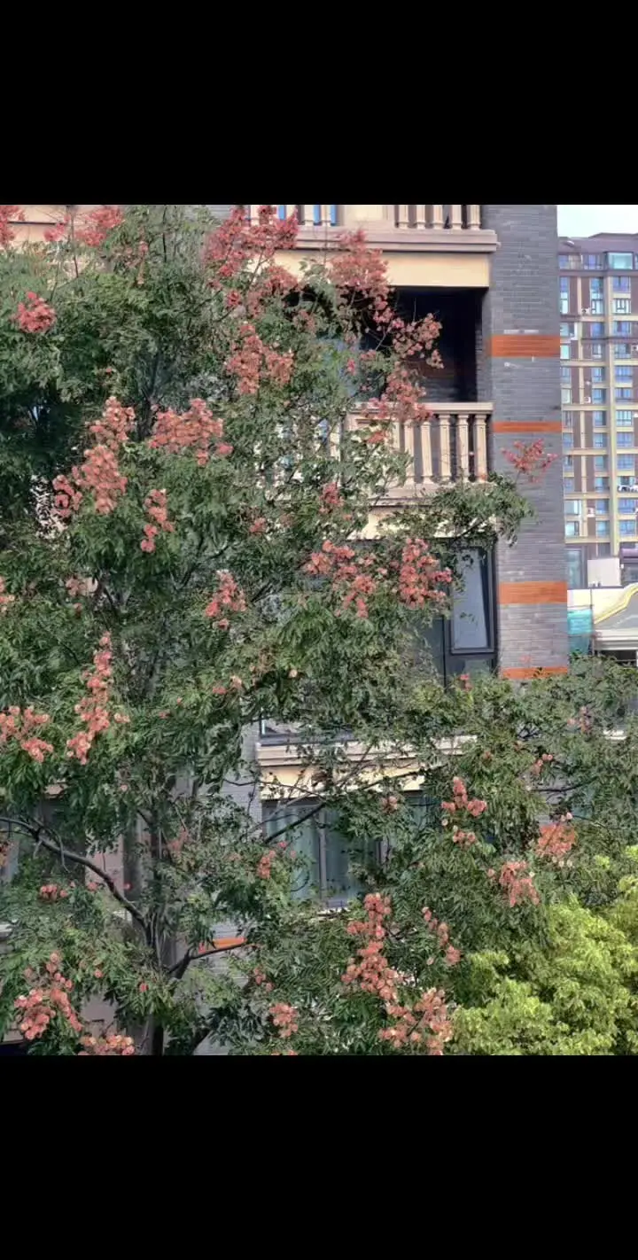 不知道怎么形容 可能只有同频的人才会喜欢这种氛围吧