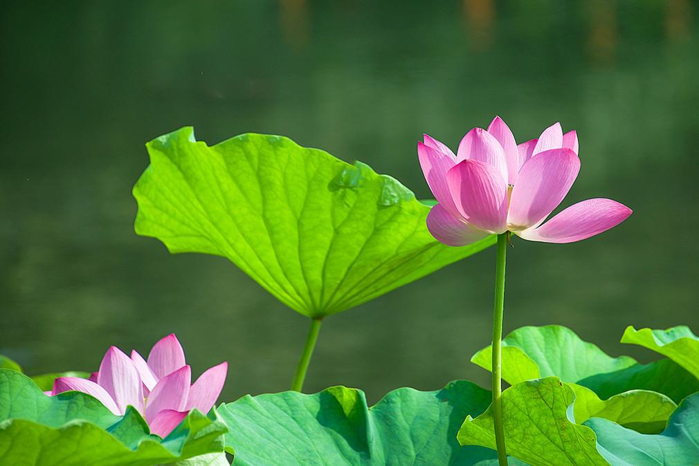 碰到一个学生，孩子的父母都是警察，工作单位都比较好，收入也不错，在南京这样的城市