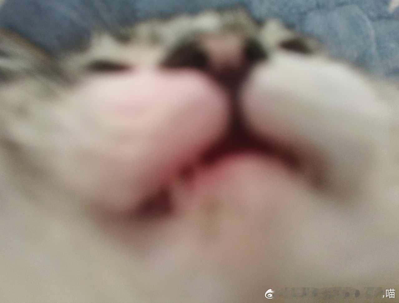 49846【丫头嘴一个】 