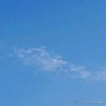 阳光信用 l森林驿站 眼前那⼀串⾜迹，渐⾏渐远，⽿畔，⼀曲笙歌散尽，灵魂深处⼀⽚