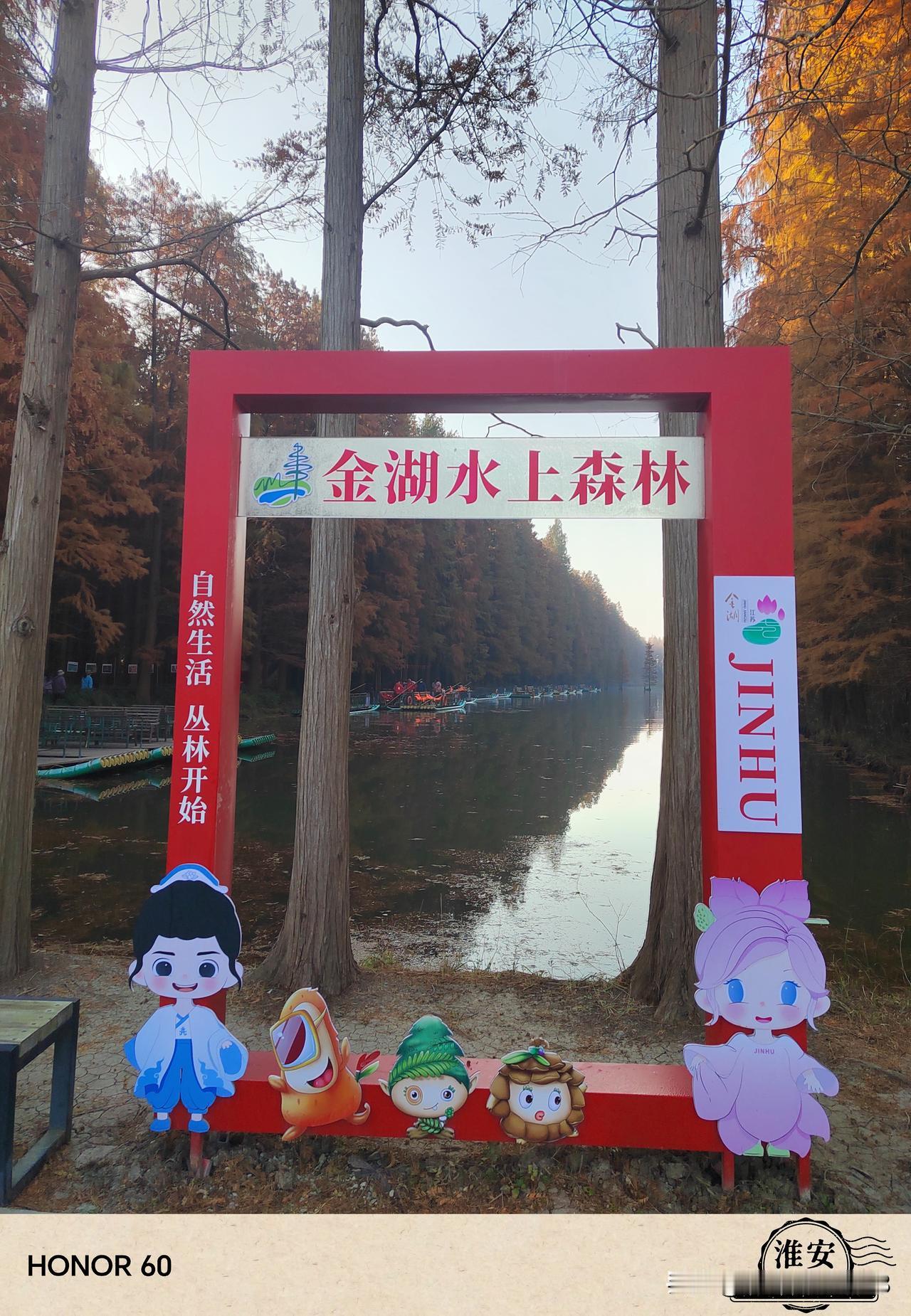 江苏文艺台粉丝团一路繁花游金湖第二天：参观游玩金湖水上森林公园，坐竹筏赏秋色，下