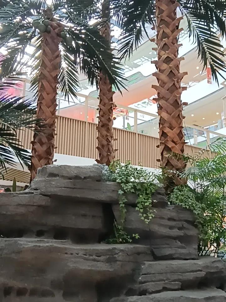 随手一拍的花静待花开[笑]