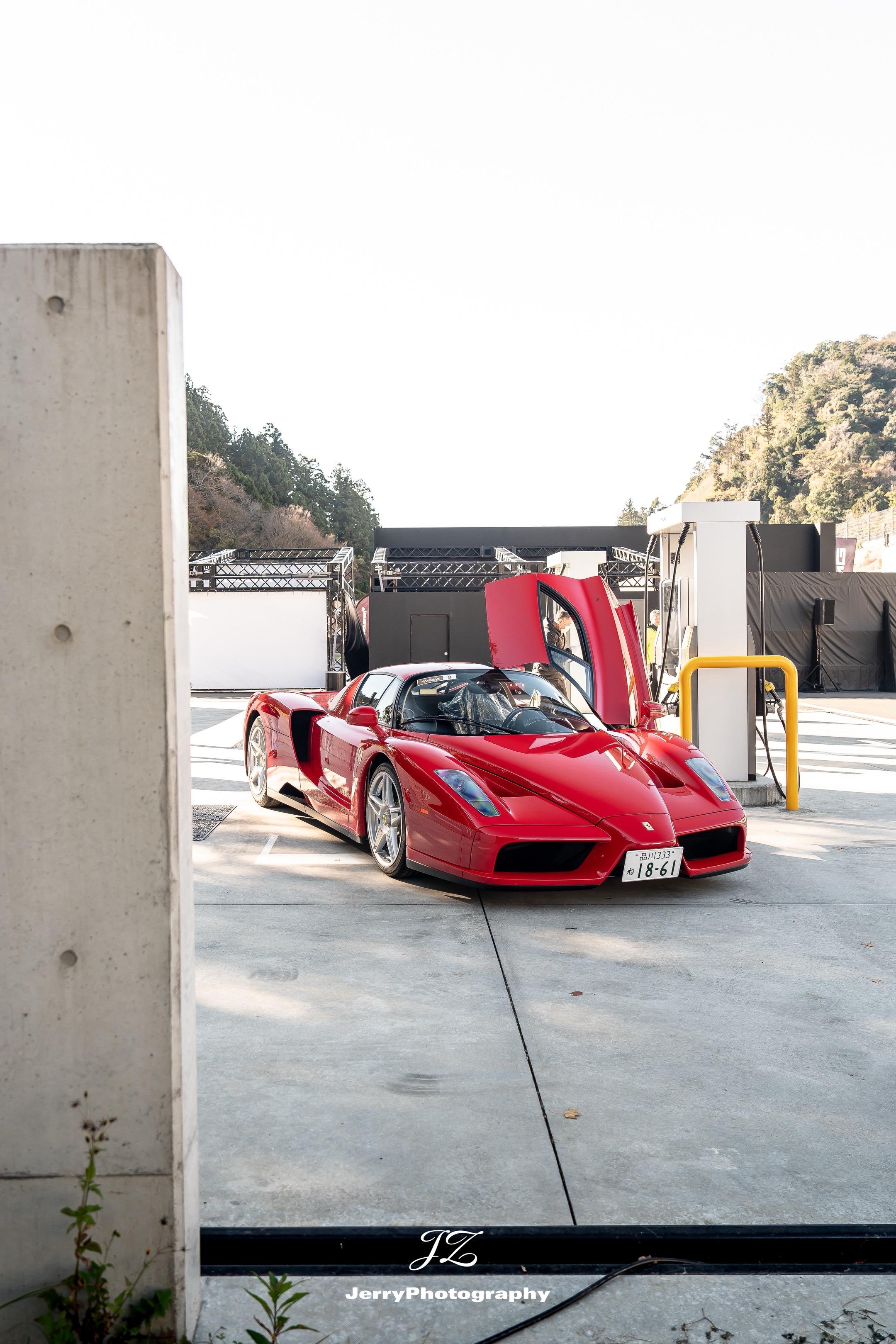 馬到成功🎆。大年初一发马王Enzo，马年祝大家身体健康万事如意